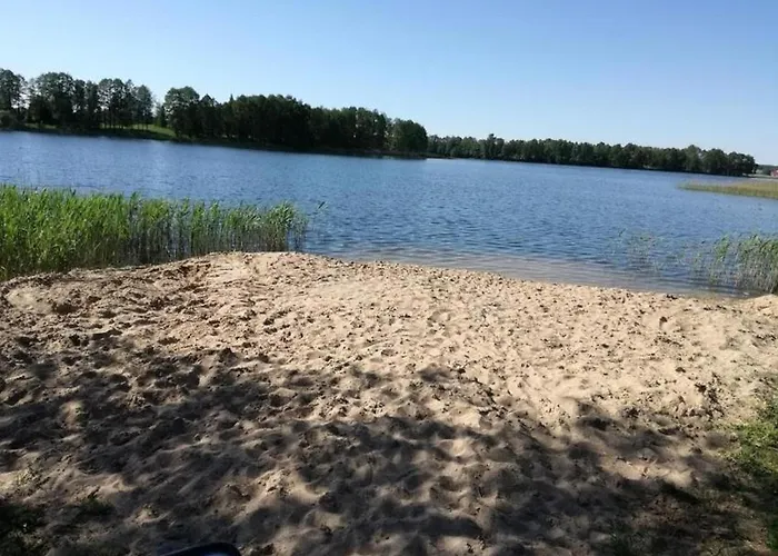 B10 Dom Lux Z Alpakami & Basen * Elk